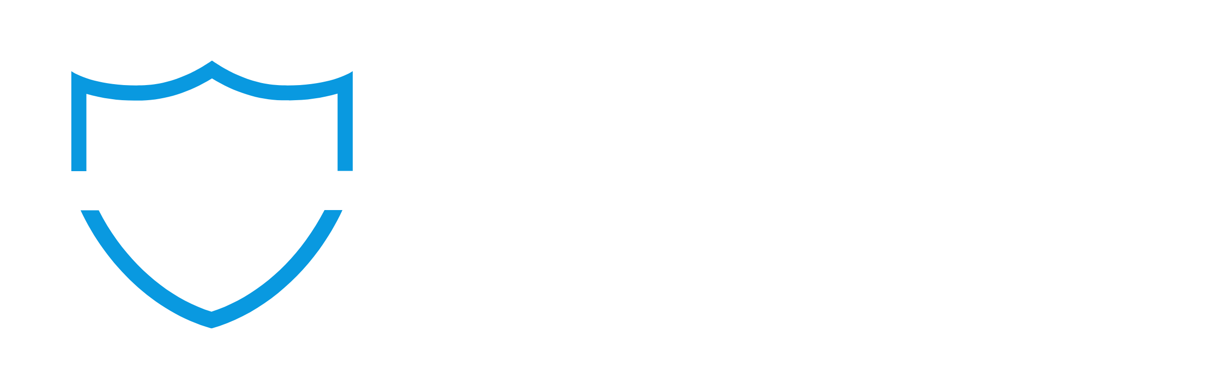 LD Security Services LTD